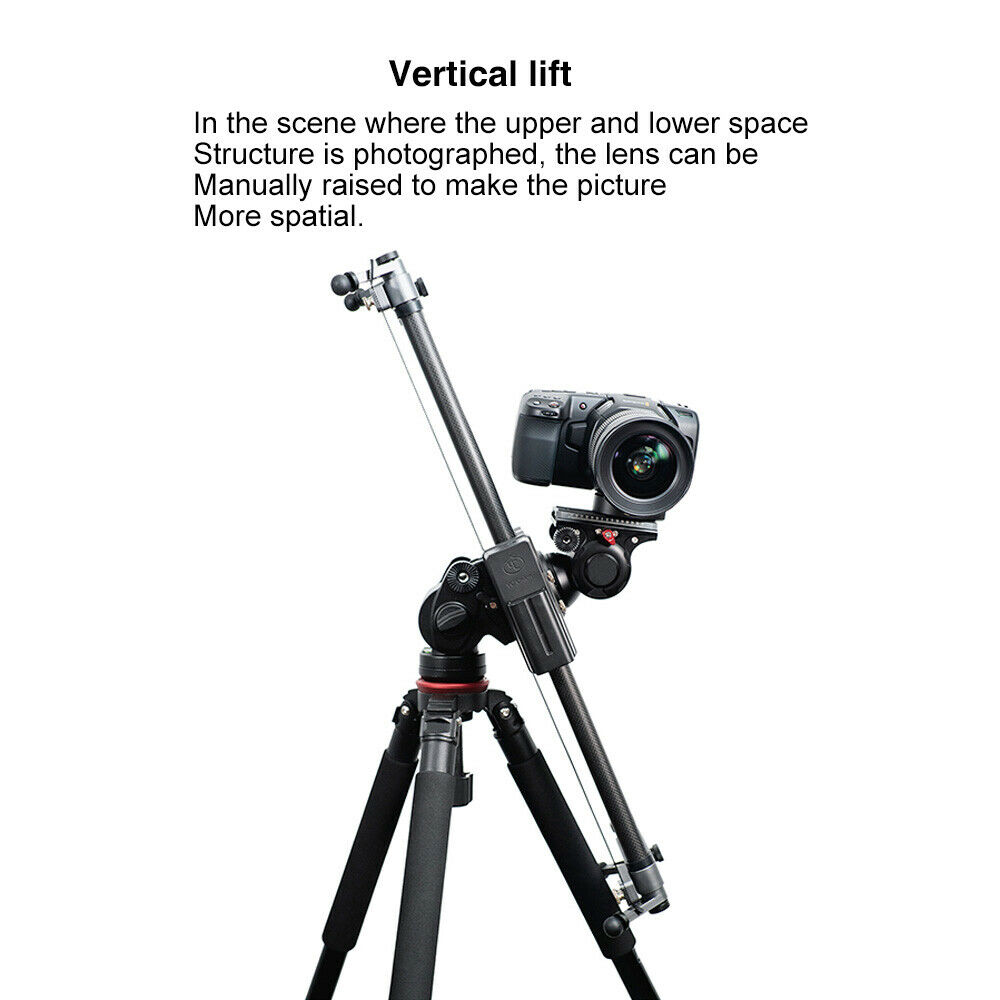 YC Onion Hotdog Motorized Slider - Image 7