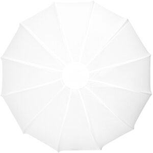 Zhiyun Lantern Softbox 65D (2.1′)